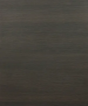 Closeup picture of the Torino Dark Wood cabinet door.